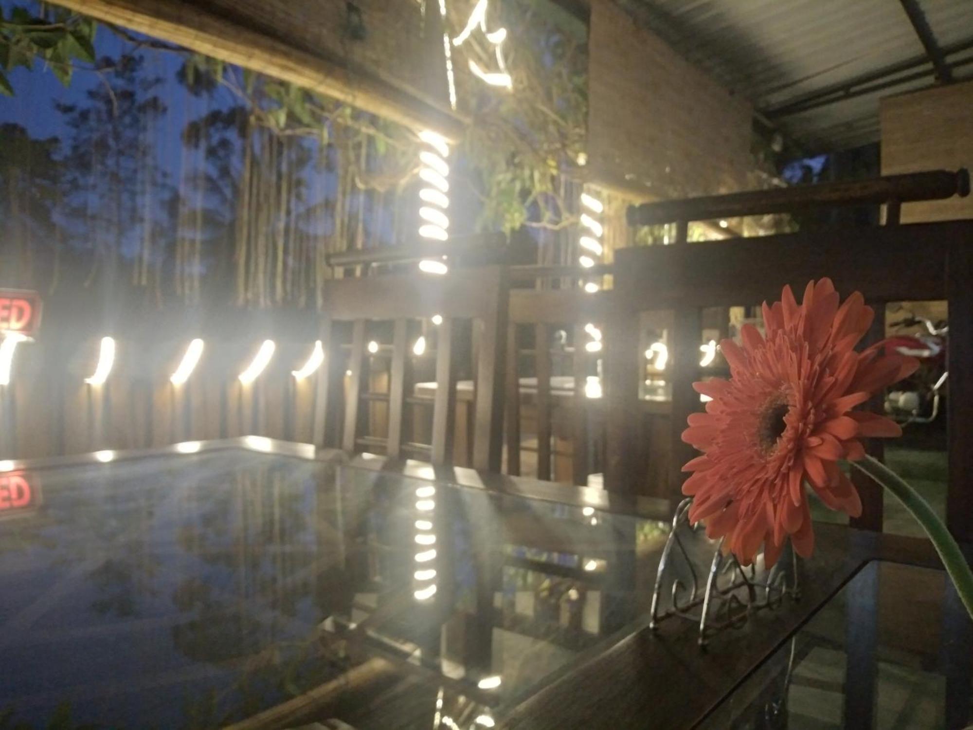 Ella Nature Life Guest & Restaurant -Free Pickup From Елла Екстер'єр фото